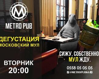 Дегустация коктейля «Московский мул» в Metro Pub